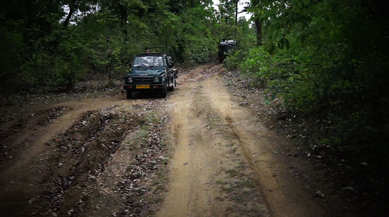 2014-06-01-pench4
