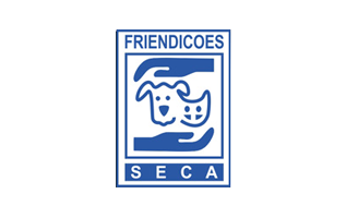 client-seca